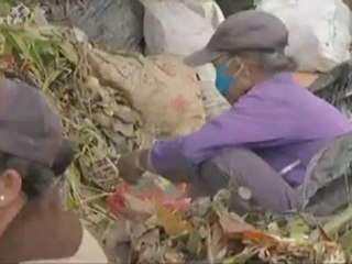 Réduction des gaz à effet de serre