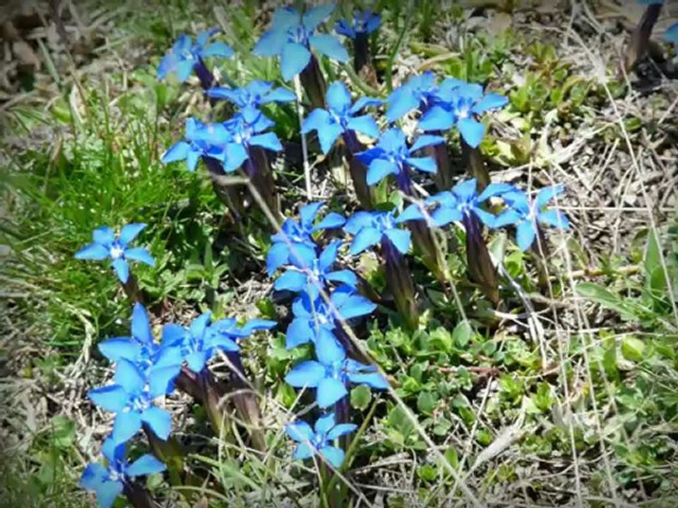Au coeur de l'Oisans