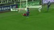 SM Caen (SMC) - EA Guingamp (EAG) Le résumé du match (11ème journée) - saison 2012/2013