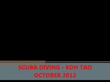 Scuba Diving in Koh Tao - Thailand