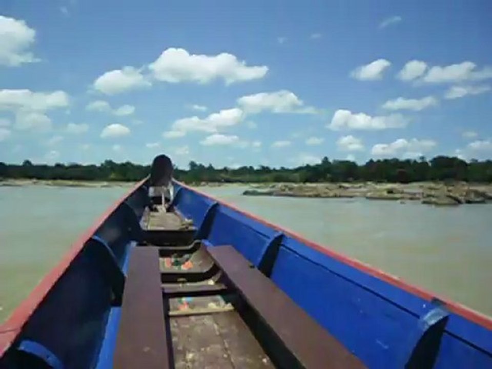 hermina