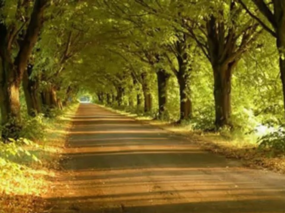 JACEK LECH - Do Widzenia Mamo