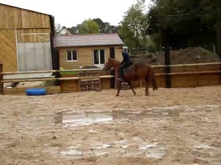 travail carriere manolito