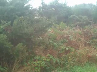 chasse au lapin entre collegue 4