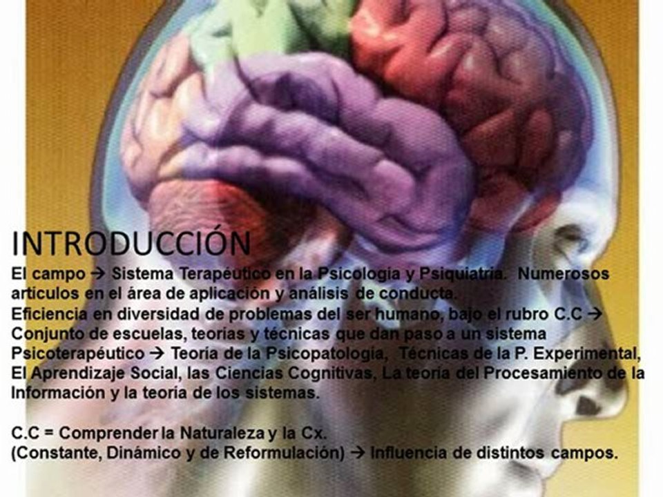 INTRODUCCIÓN A LA TERAPIA COGNITIVO CONDUCTUAL