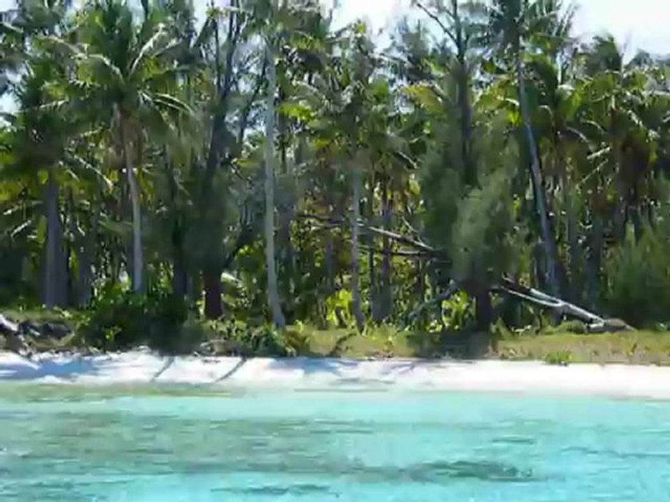 petite visite