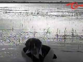 Kalpana Songs - Dikkulu Choodaku Ramayya - Murali Mohan Jayachitra