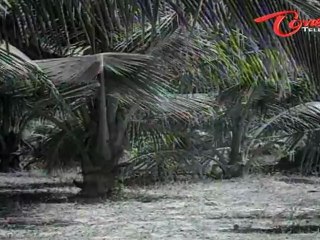 Kanna Koduku Songs - Kallatho Kaatesi - Lakshmi - ANR