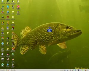 Pika Software Builder v4.9 + Keygen [Prohobomodz]