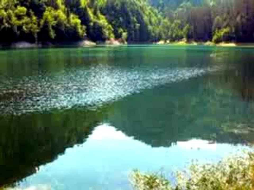 SU SAMURLARININ TÜYLERİ