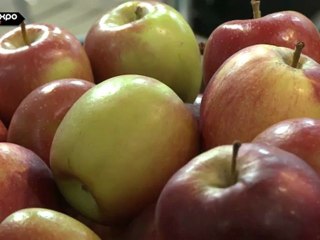 Vi p Mele Val Venosta - La Mela sopra tutte