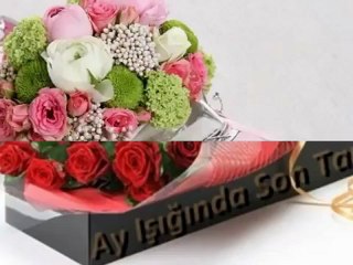 SeNi SevİyOrUm bİLiyOrMusUn BeBeĞiM.. - -