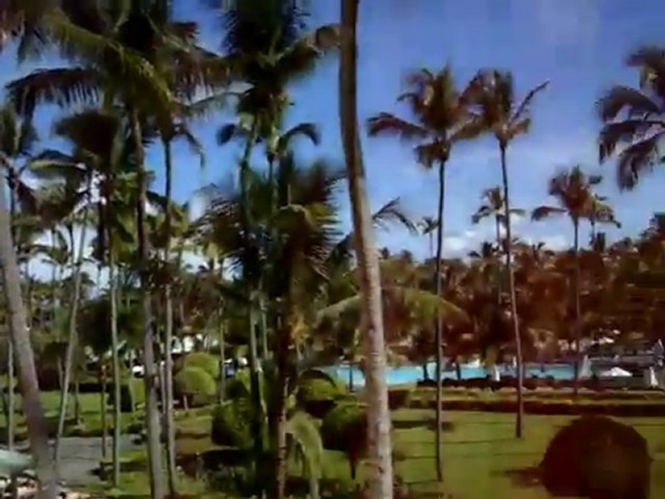 riu palace macao Dom. Rep. Punta Cana 5 Sterne Riu Hotel  Reisebuero Fella