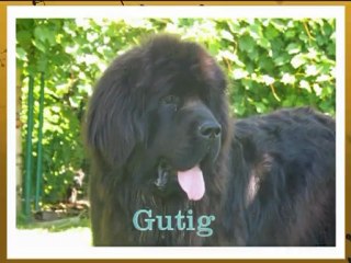 Anniv Epsilons... leur un an...