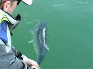 La nature se doit d'être admirée et respectée