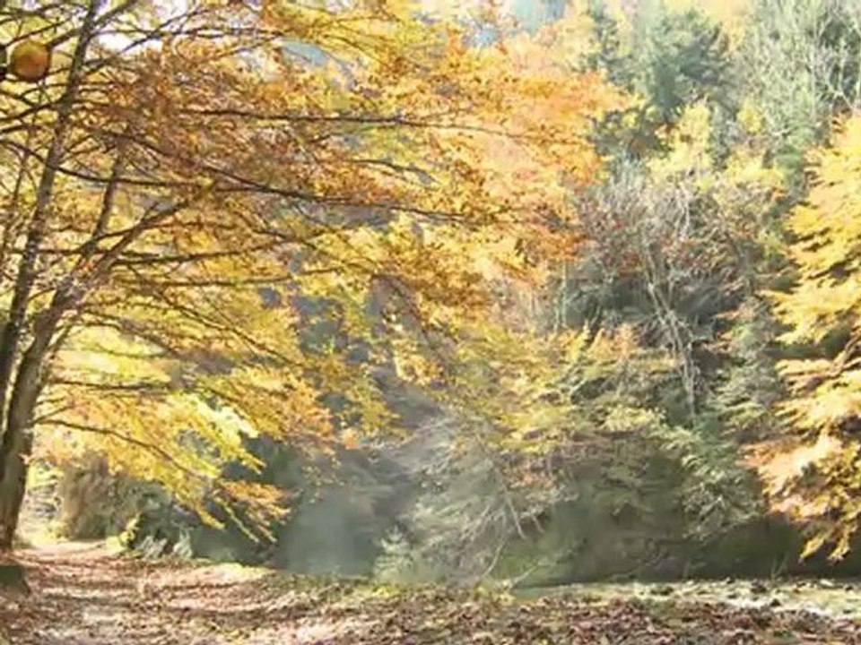AREUSE