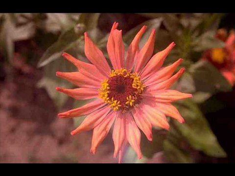 Dia de la Madre-video -FM Universo 94.3