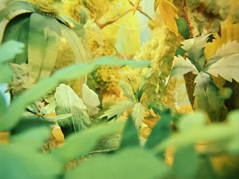 Ужасно интересно - 38 попугаев