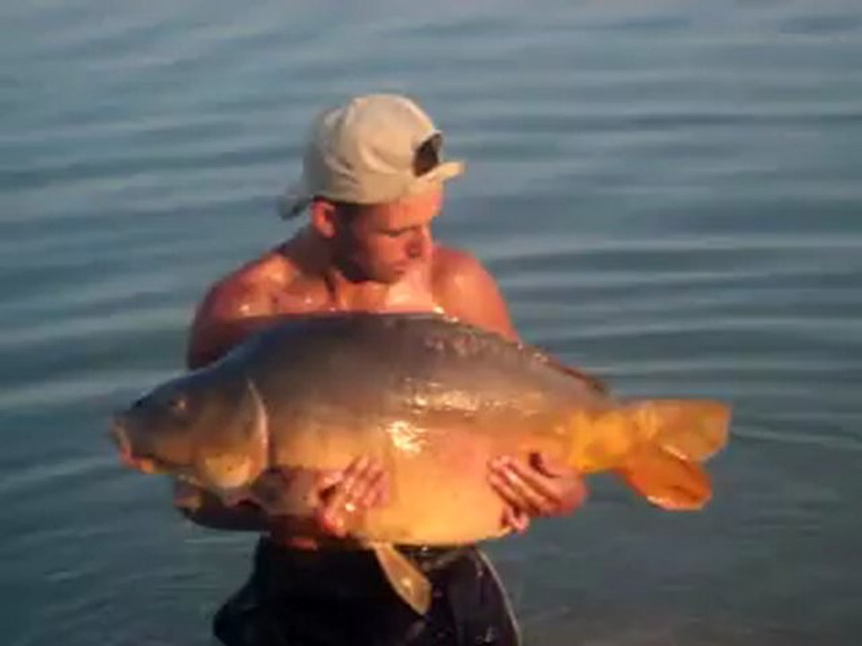 carpe miroir 20 kg +  elle veut plus partir ,