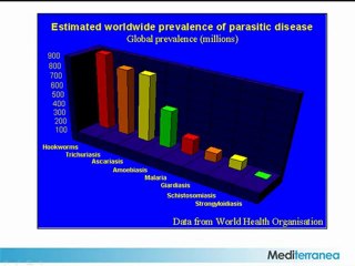 Intestinal Parasite Infections Affect Billions of People Annually | Mediterranea Pte Ltd