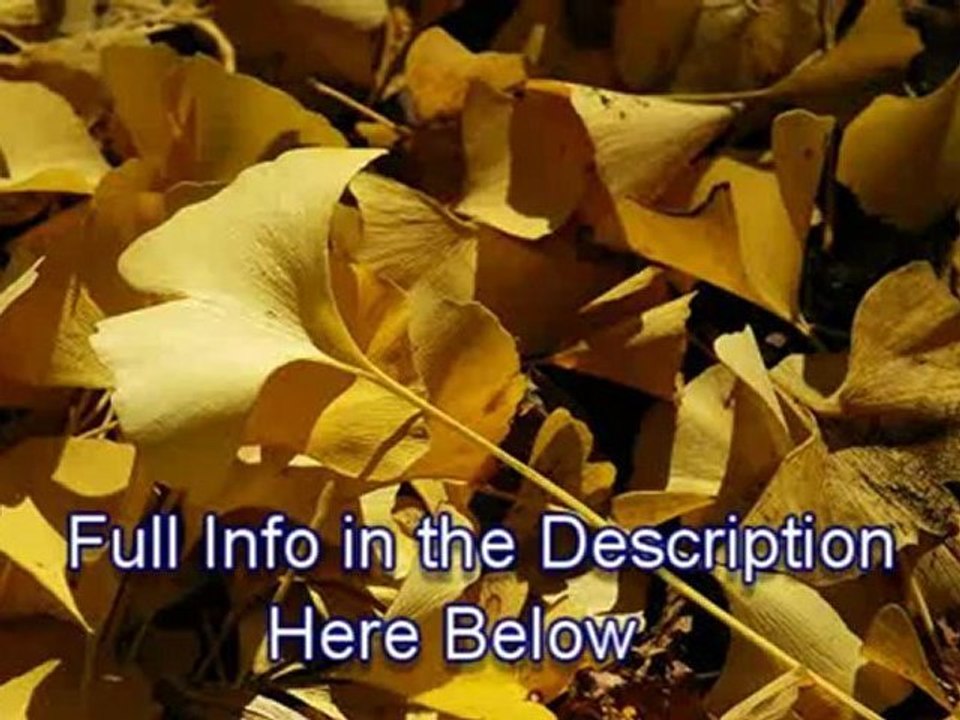 Matthew Mohwinkel profiles | LinkedIn