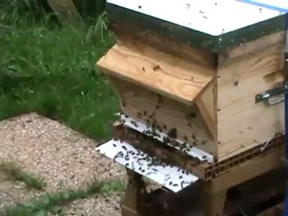 soleil artifice du 21-10-2012