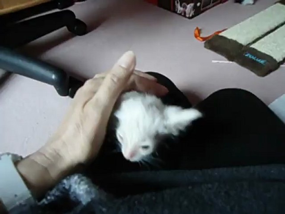 mes bébés