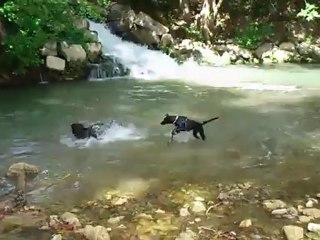 Gaïa DANS le Lez... enfin presque...