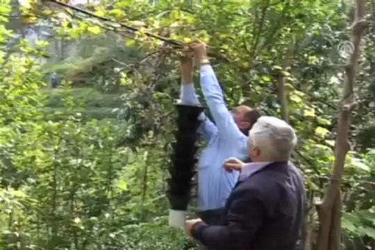 Fıkra gibi ev kurtarılacak