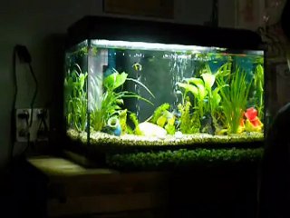 qui saura °hommage a m.Brand°°° interpretation personnelle°°°