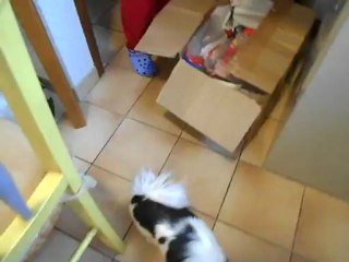 vidéo coussin maison !!!