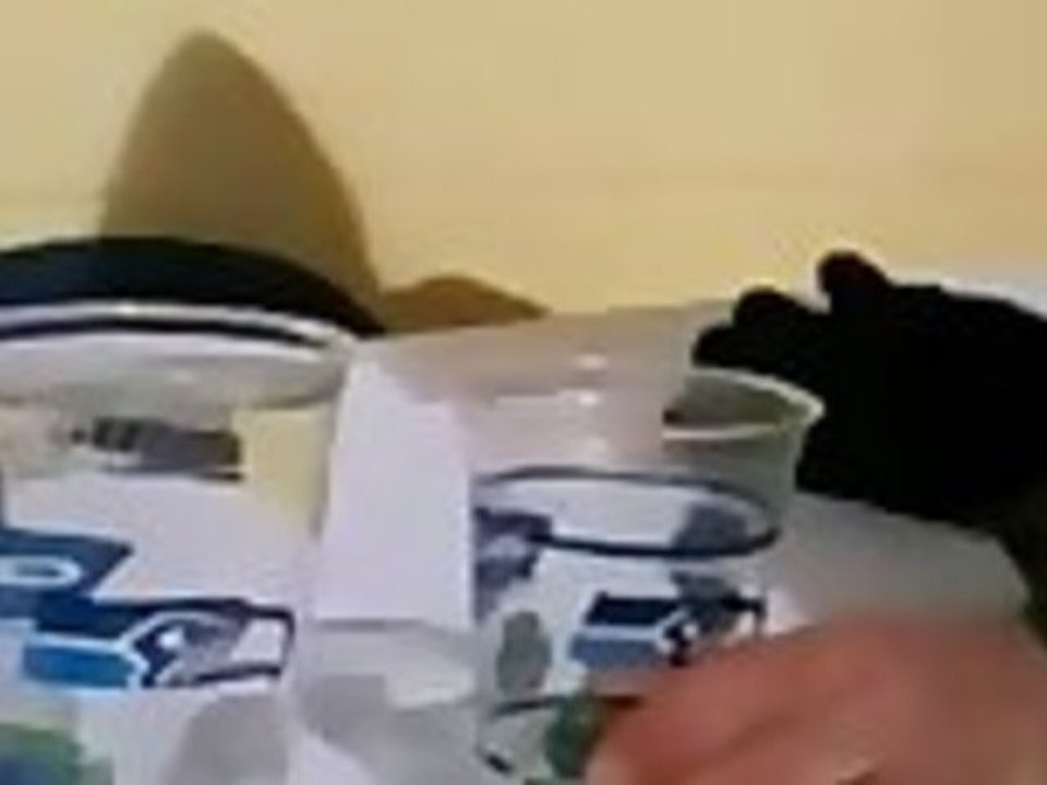 Interesting Findings