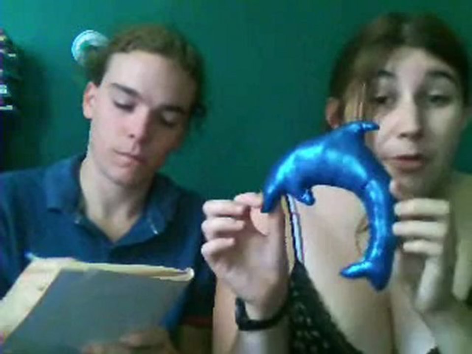 Dauphins dauphines !