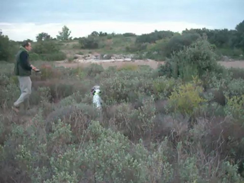 001CIRKA ET BILOU aux faisans