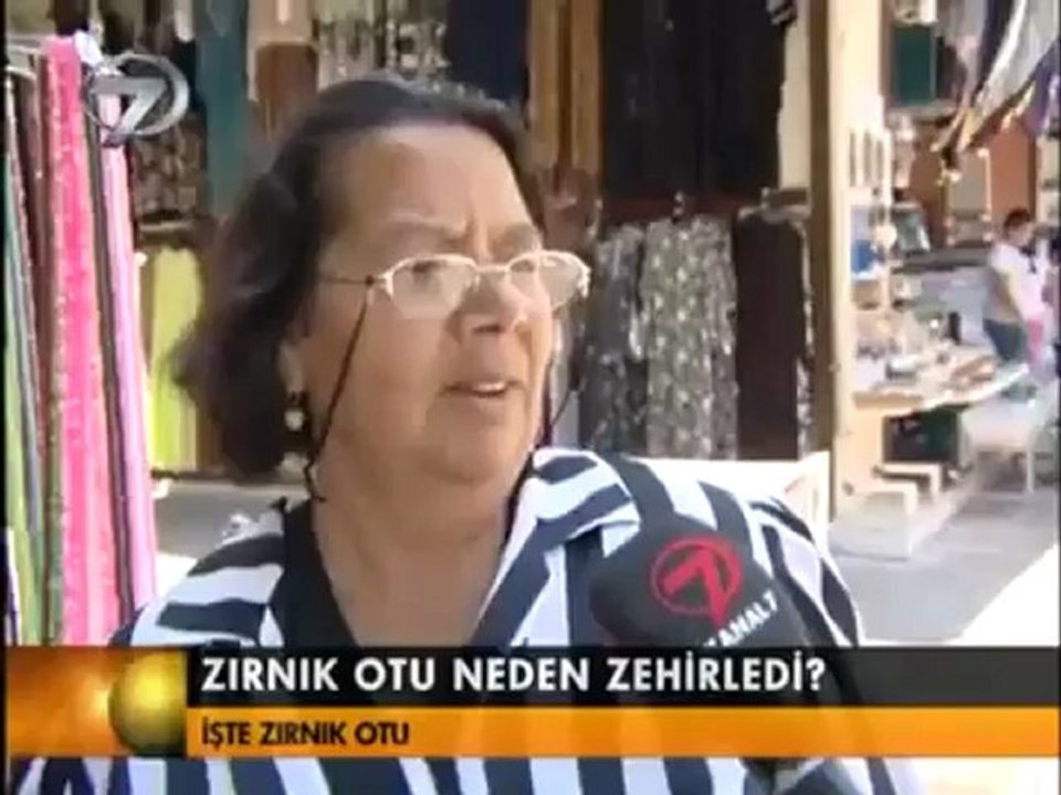 Hürrem Hamam Otu Yağı - Hamam Otu Nedir- Hamamotu Faydaları Zararları-İstenmeyen Tüy Dökücü Zırnık Otu  - www.milyonmarket.com