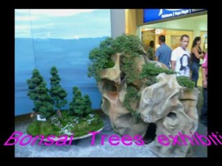 Medellin"s Flowers Festival. Part 1