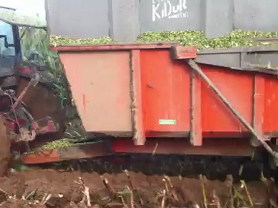 ensilage