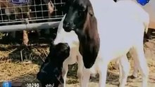 مناسك الحج .. مواقيت الاحرام .. قناة الناس
