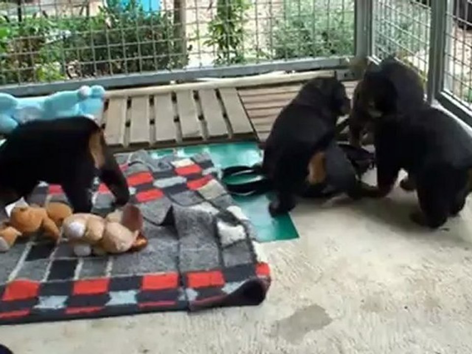 Portée 3 - Delta X César - 3ème semaine suite 1.