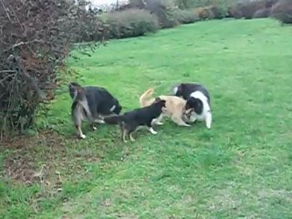 vingt et un octobre 047