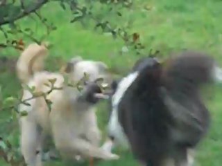 vingt et un octobre 042