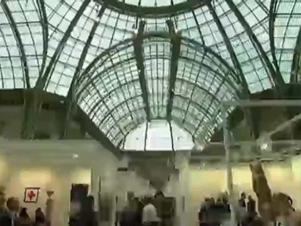 Die kunstmesse fiac in paris | euromaxx