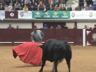 ENTRETENIDO FESTIVAL ANPTE