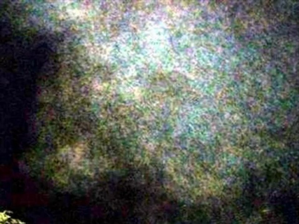 BVI httpinesplicable56 skyrock. com