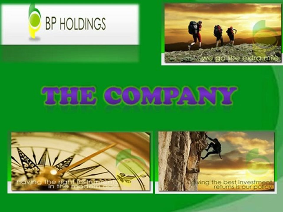 The Company | BP Holdings Investment Solutions