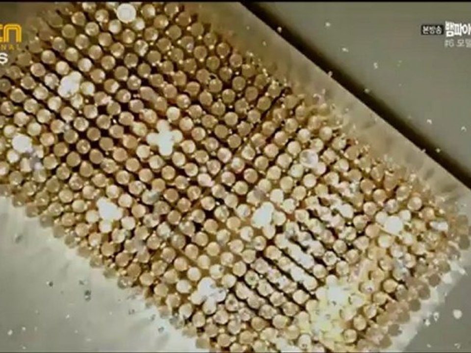 VP.P2.E06.HD.R-004