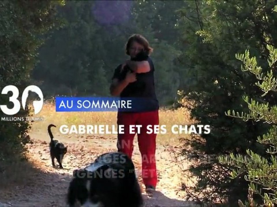 Sommaire émission 30 Millions d'Amis 27/10/2012