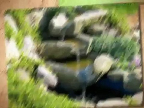 Leo's Landscaping (253) 335-1350