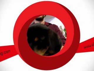 SOSYAL MEDYADA BİR TÜRK İCADI: OBLOGİ.COM