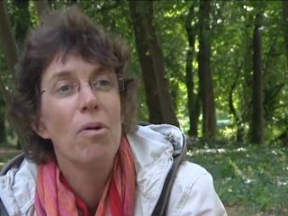 Être chrétien aujourd’hui : Des chrétiens respectueux et sans violence